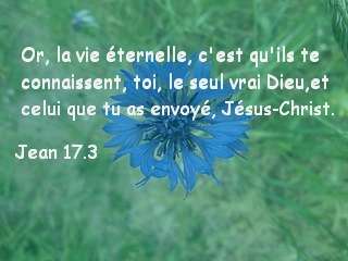 Jean 17.3