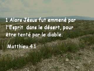 Matthieu 4.1.jpg