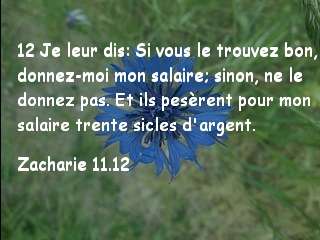 Zacharie 11.12