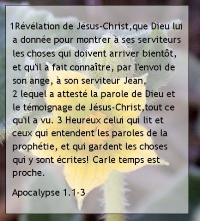 .Apocalypse 1.1-3..jpg