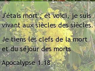 Apocalypse 1.18