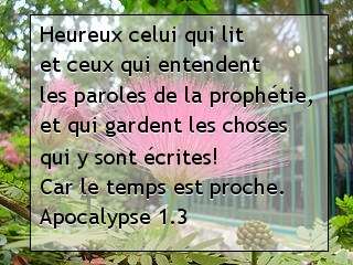 Apocalypse 1.3
