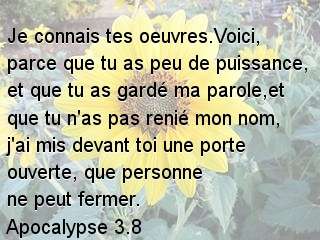 Apocalypse 3.8