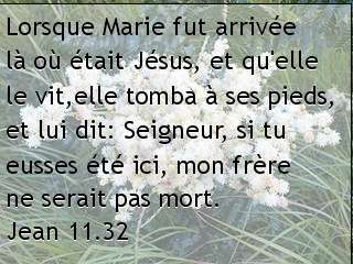 Jean 11.32.jpg