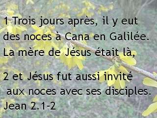 Jean 2.1-2