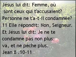 Jean 8 .10-11
