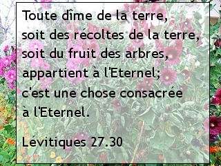 Lévitiques 27.30