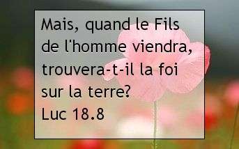 Luc 18.8.