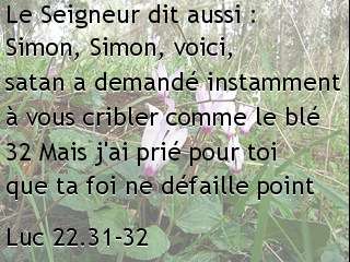 Luc 22.31-32.jpg