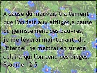 Psaume 12.5