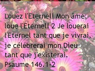 Psaume 146.1-2