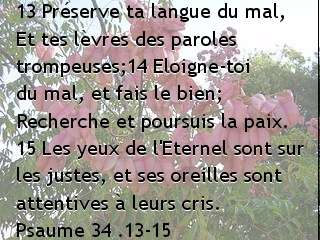 Psaume 34 .13-15.jpg