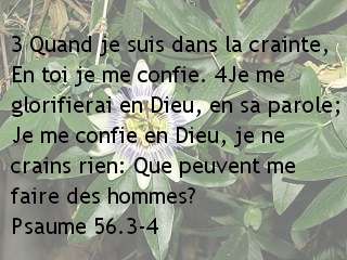 Psaume 56.3-4.jpg