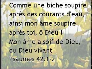 Psaumes 42.1-2....jpg