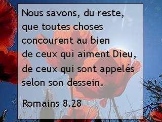 Romains 8.28