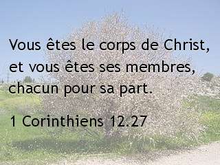 1 Corinthiens 12.27.jpg