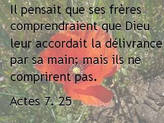 Actes 7. 25.jpg