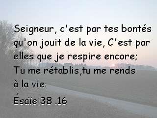 Ésaïe 38 .16
