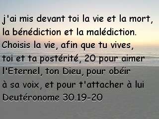 Deutéronome 30.19-20.jpg