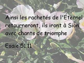Esaïe 51.11