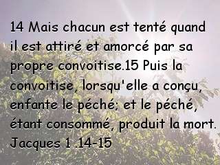 Jacques 1 .14-15.jpg