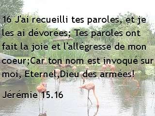 Jérémie 15.16