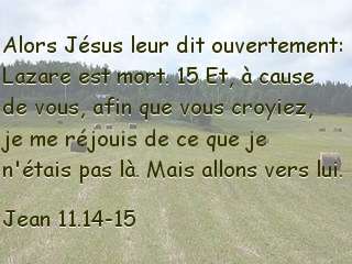 Jean 11.14-15.jpg