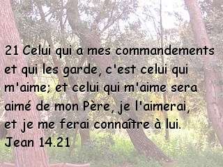 Jean 14.21.jpg