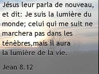 Jean 8.12.jpg