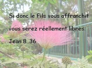 Jean 8.36