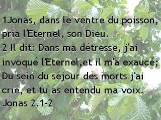 Jonas 2.1-2