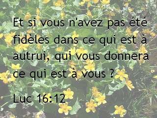 Luc 16.12