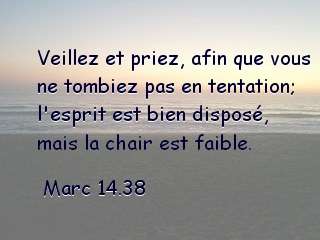 Marc 14.38.jpg
