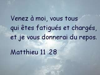 Matthieu 11 .28