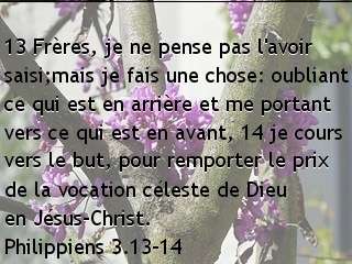 Philippiens 3.13-14