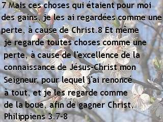 Philippiens 3.7-8
