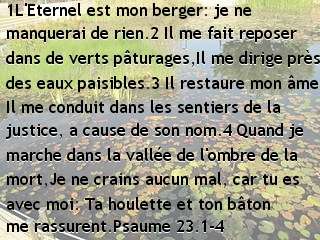 Psaume 23.1-4