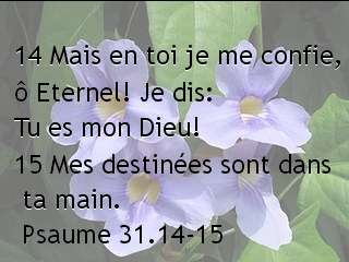 Psaume 31.14-15