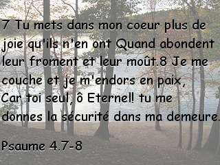 Psaume 4.7-8