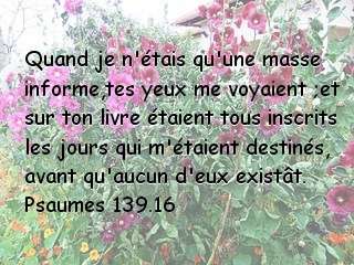 Psaumes 139.16.jpg