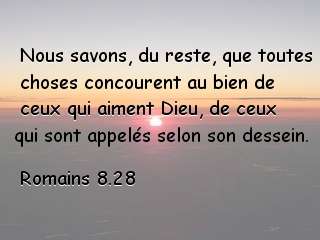 Romains 8.28.jpg