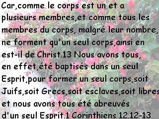 1 Corinthiens 12.12-13