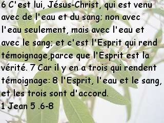 1 Jean 5 .6-8.jpg