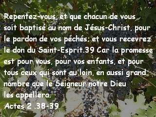 Actes 2 .38-39
