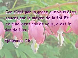 Éphésiens 2.8