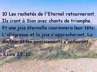 Ésaïe 35 .10.jpg