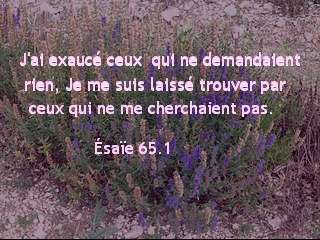 Ésaïe 65.1