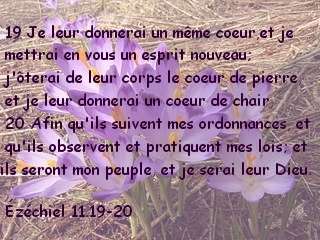 Ézéchiel 11.19-20.jpg