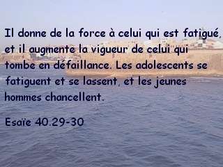 Esaïe 40.29-30.jpg