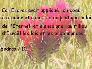 Esdras 7.10.jpg